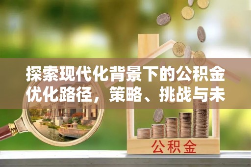炎陵探索现代化背景下的公积金优化路径，策略、挑战与未来展望