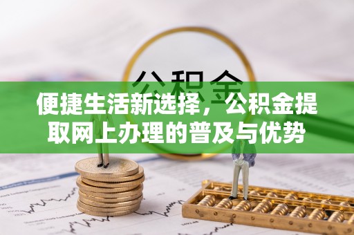 炎陵便捷生活新选择，公积金提取网上办理的普及与优势