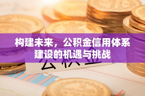 炎陵构建未来，公积金信用体系建设的机遇与挑战