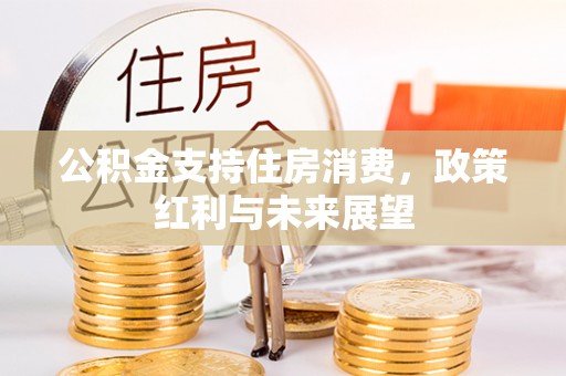 炎陵公积金支持住房消费，政策红利与未来展望