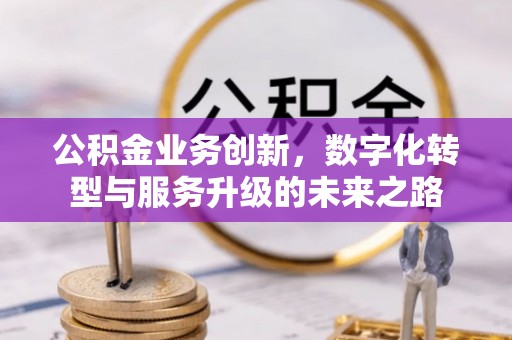 炎陵公积金业务创新，数字化转型与服务升级的未来之路