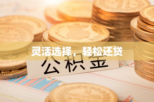 炎陵灵活选择，轻松还贷