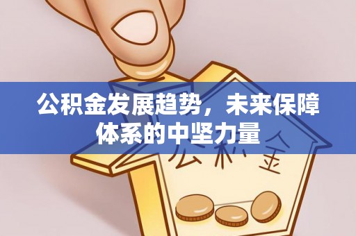 炎陵公积金发展趋势，未来保障体系的中坚力量