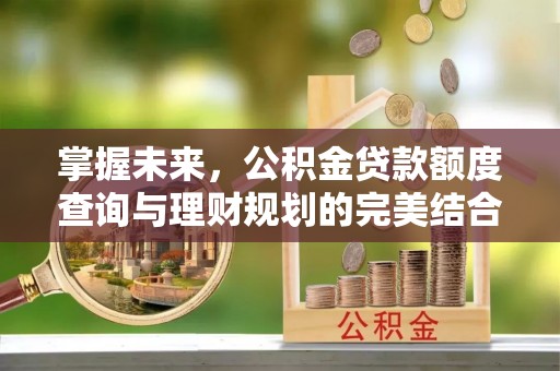 炎陵掌握未来，公积金贷款额度查询与理财规划的完美结合