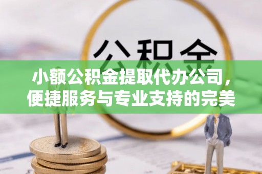炎陵小额公积金提取代办公司，便捷服务与专业支持的完美结合