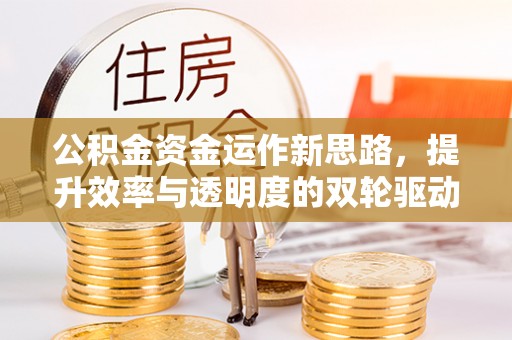 炎陵公积金资金运作新思路，提升效率与透明度的双轮驱动