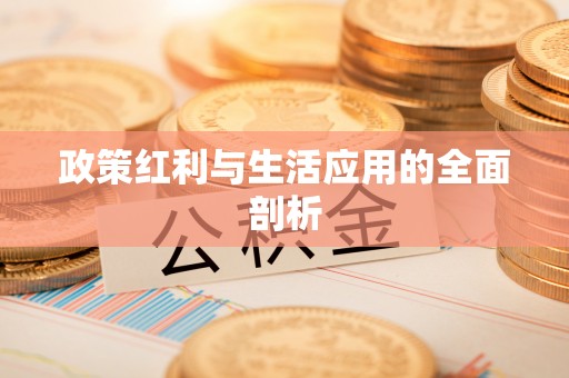 炎陵政策红利与生活应用的全面剖析