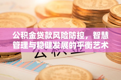 炎陵公积金贷款风险防控，智慧管理与稳健发展的平衡艺术