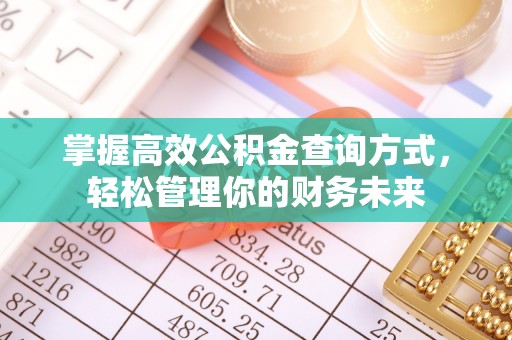 炎陵掌握高效公积金查询方式，轻松管理你的财务未来