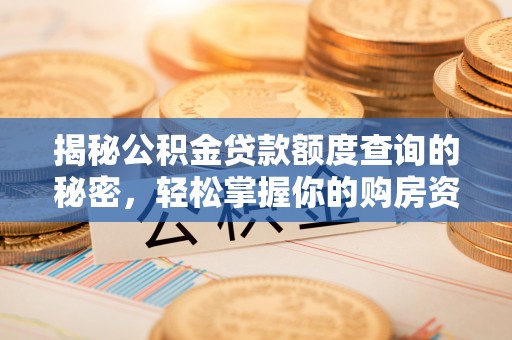 炎陵揭秘公积金贷款额度查询的秘密，轻松掌握你的购房资金