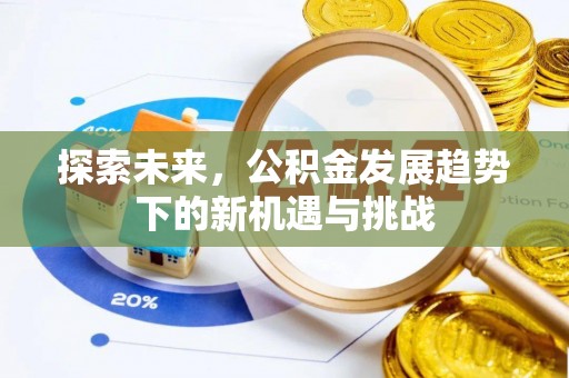 炎陵探索未来，公积金发展趋势下的新机遇与挑战