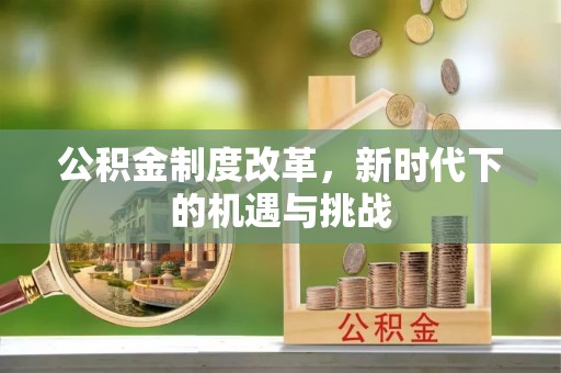 炎陵公积金制度改革，新时代下的机遇与挑战