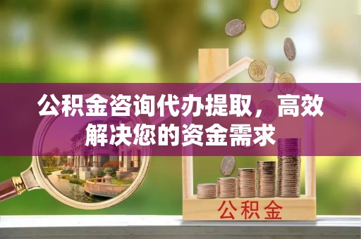 炎陵公积金咨询代办提取，高效解决您的资金需求